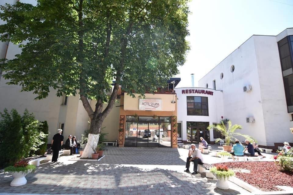 Hotel Silvana Buziaş Zewnętrze zdjęcie